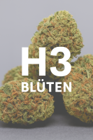 H3 Blüten