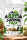 420 Survival Pack – 2 g Superior Blend Trim & Zubehör
