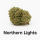 Northern Lights Premium CBD Blüten 2 g