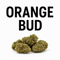 Orange Bud Premium CBD Blüten 2 g