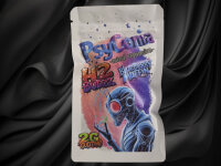 Psyconia Blueberrymuffin H2 Blüten 2G
