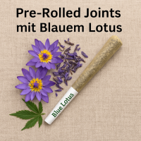 Blauer Lotus +CBD Pre-Rolled Joints